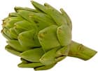 artichoke