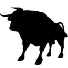 bull 