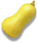 butternut squash