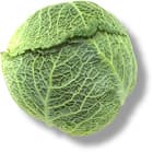 cabbage