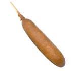 corndog