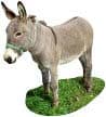 donkey