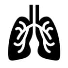 lungs