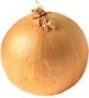 onion